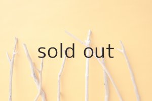 画像4: 小枝流木セット