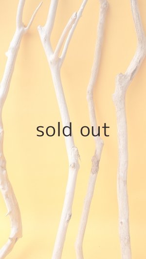 画像6: 小枝流木セット