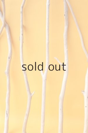 画像6: 小枝流木セット