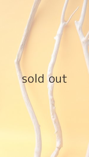 画像5: 小枝流木セット