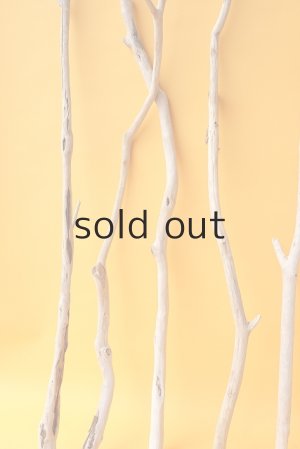 画像5: 小枝流木セット