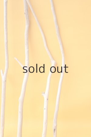 画像7: 小枝流木セット