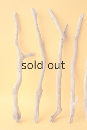 画像2: 小枝流木セット