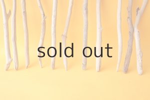 画像5: 小枝流木セット