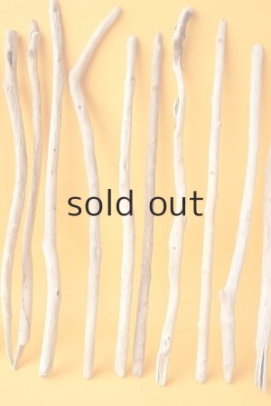 画像4: 小枝流木セット