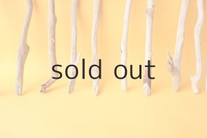 画像5: 小枝流木セット