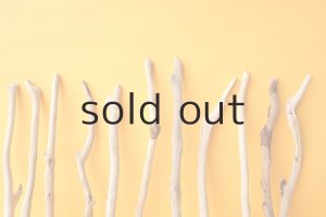 画像6: 小枝流木セット