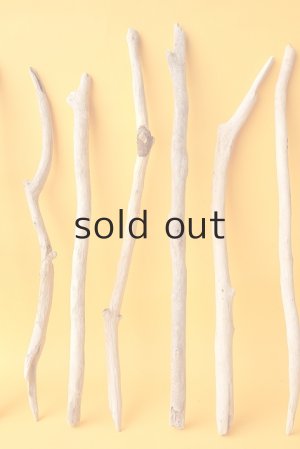 画像3: 小枝流木セット