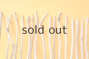 画像7: 小枝流木セット