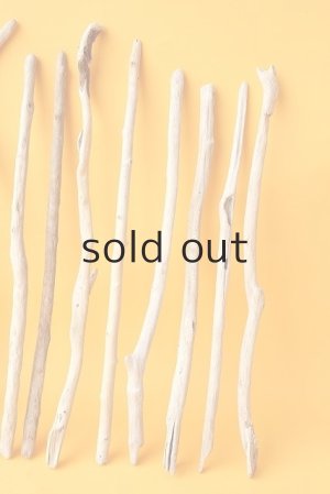 画像5: 小枝流木セット