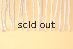 画像6: 小枝流木セット