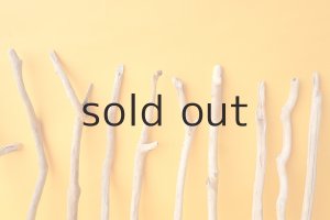 画像6: 小枝流木セット