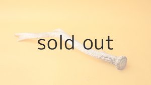 画像5: デコール用二ホンジカの角