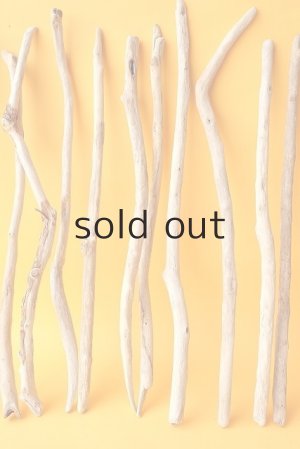 画像3: 小枝流木セット