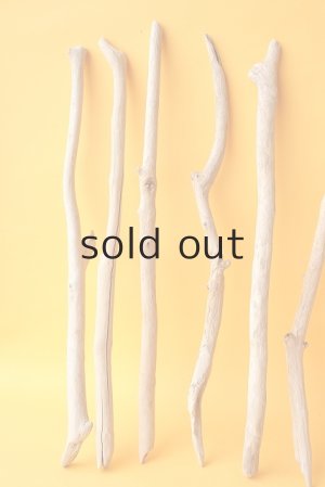 画像2: 小枝流木セット