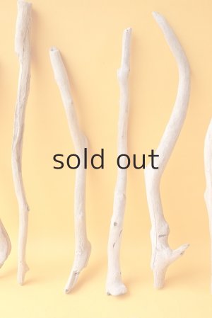 画像5: 小枝流木セット