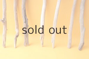 画像2: 小枝流木セット