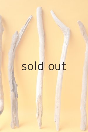 画像5: 小枝流木セット