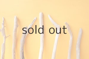 画像3: 小枝流木セット