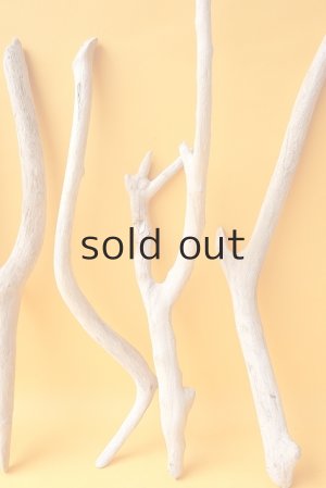 画像5: 小枝流木セット