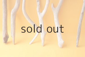 画像2: 小枝流木セット