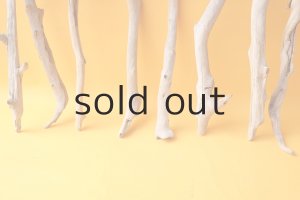 画像2: 小枝流木セット