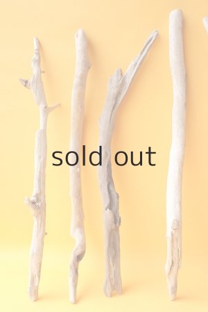 画像4: 小枝流木セット