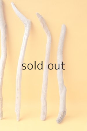 画像6: 小枝流木セット