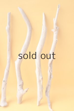 画像6: 小枝流木セット