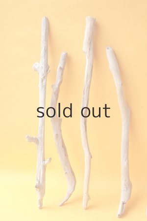 画像4: 小枝流木セット