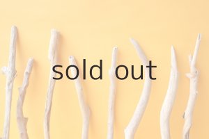 画像3: 小枝流木セット