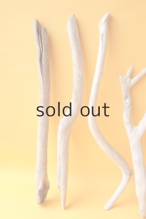 画像4: 小枝流木セット