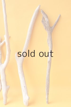 画像6: 小枝流木セット