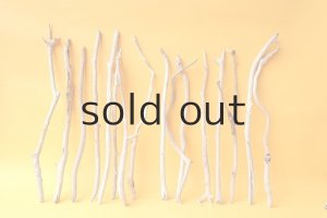 画像1: 小枝流木セット