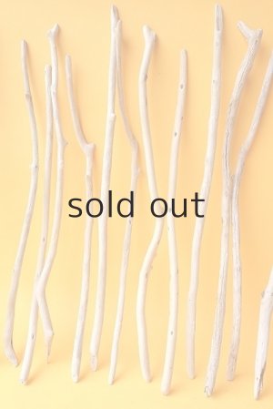 画像3: 小枝流木セット