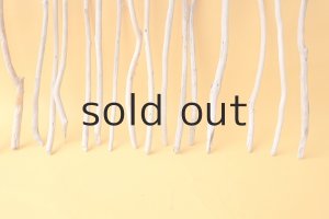 画像5: 小枝流木セット