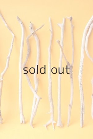 画像4: 小枝流木セット