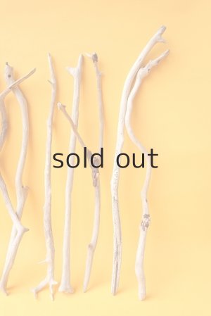 画像5: 小枝流木セット