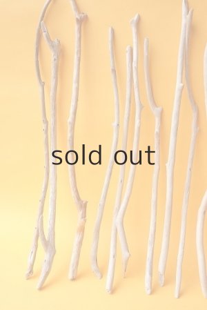 画像2: 小枝流木セット