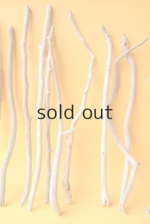 画像3: 小枝流木セット