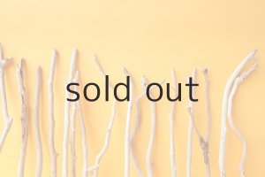 画像7: 小枝流木セット