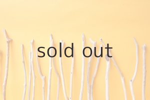 画像6: 小枝流木セット