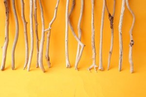 画像6: 小枝流木セット