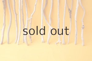 画像6: 小枝流木セット