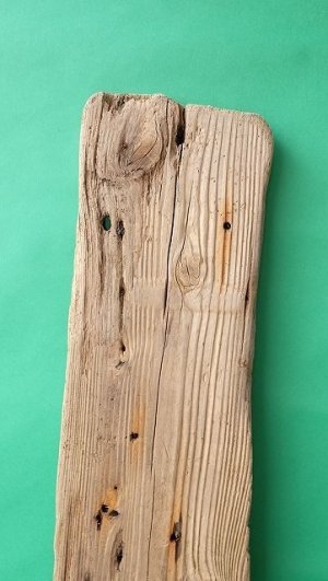 画像4: 板流木
