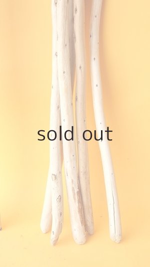 画像7: 棒流木セット