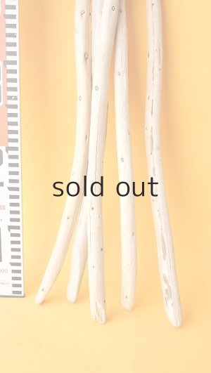 画像7: 棒流木セット