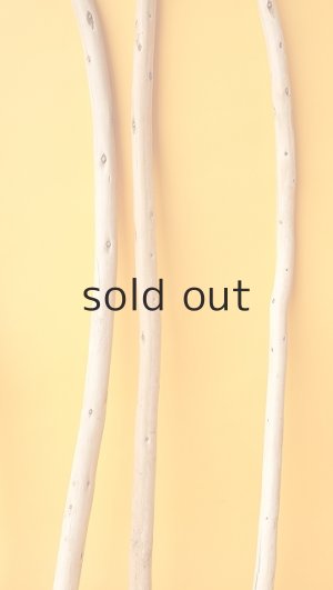 画像6: 棒流木セット