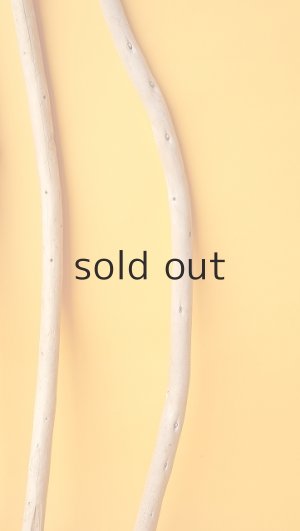 画像6: 棒流木セット