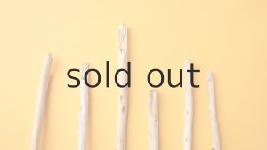 画像4: 棒流木セット